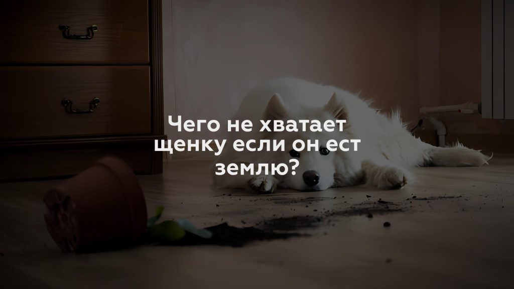 Чего не хватает щенку если он ест землю?