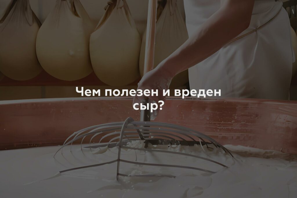 Чем полезен и вреден сыр?