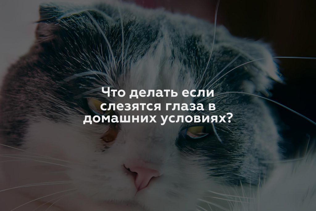 Что делать если слезятся глаза в домашних условиях?