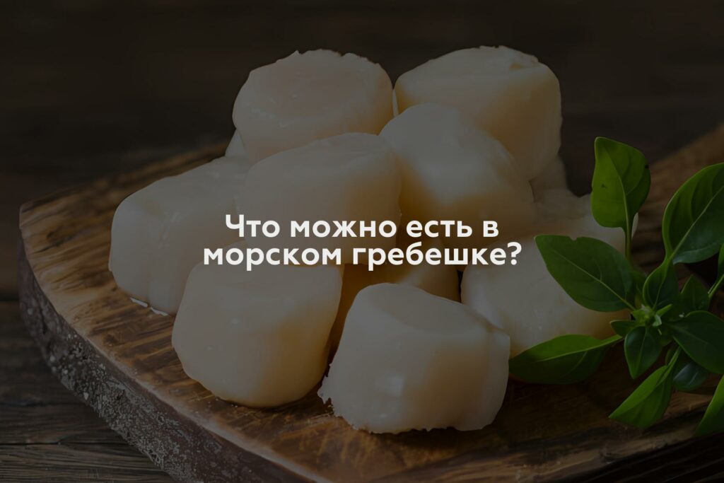 Что можно есть в морском гребешке?