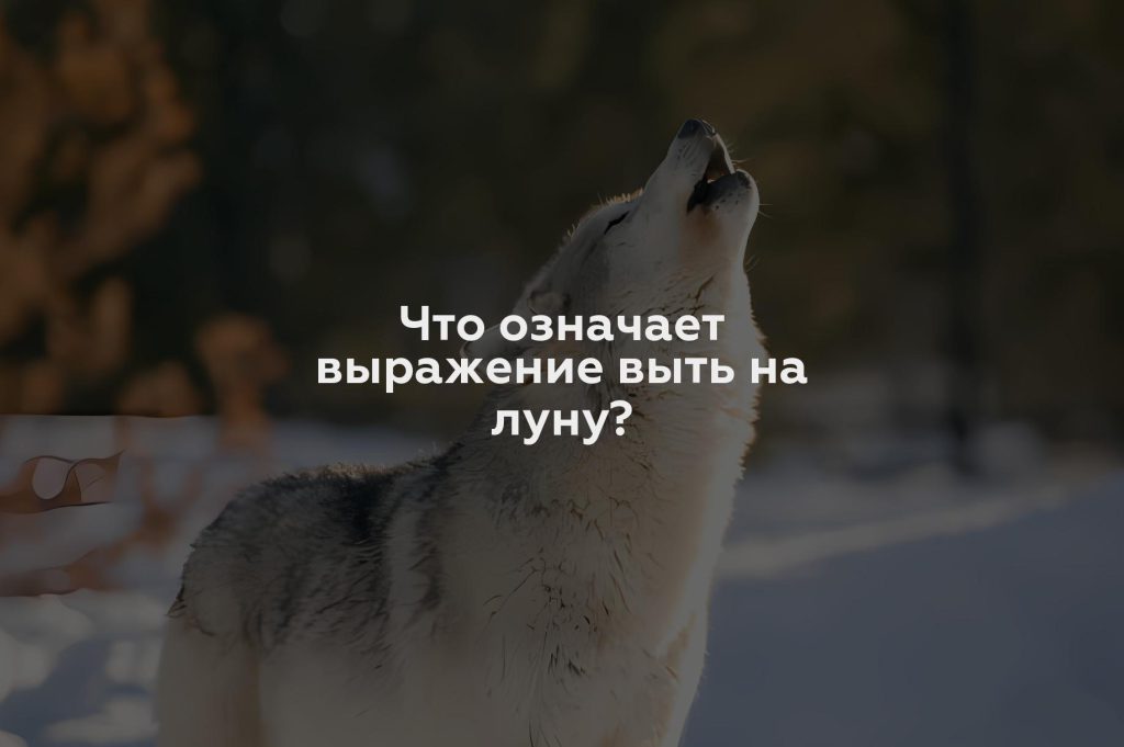 Что означает выражение выть на луну?