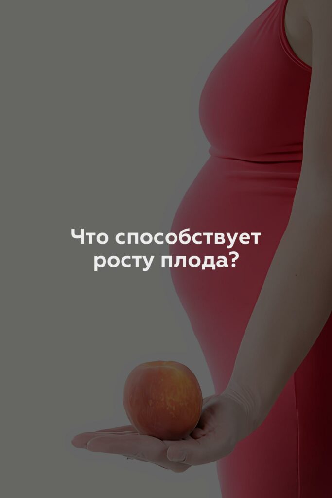 Что способствует росту плода?