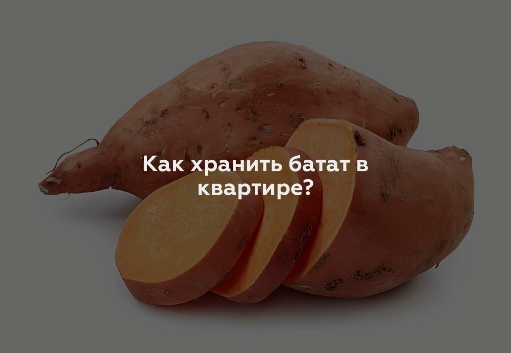 Как хранить батат в квартире?