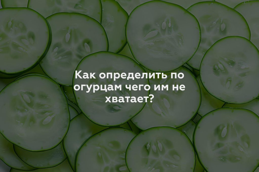 Как определить по огурцам чего им не хватает?