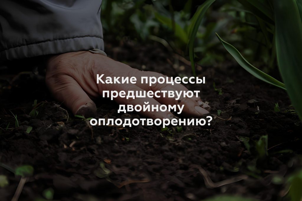 Какие процессы предшествуют двойному оплодотворению?