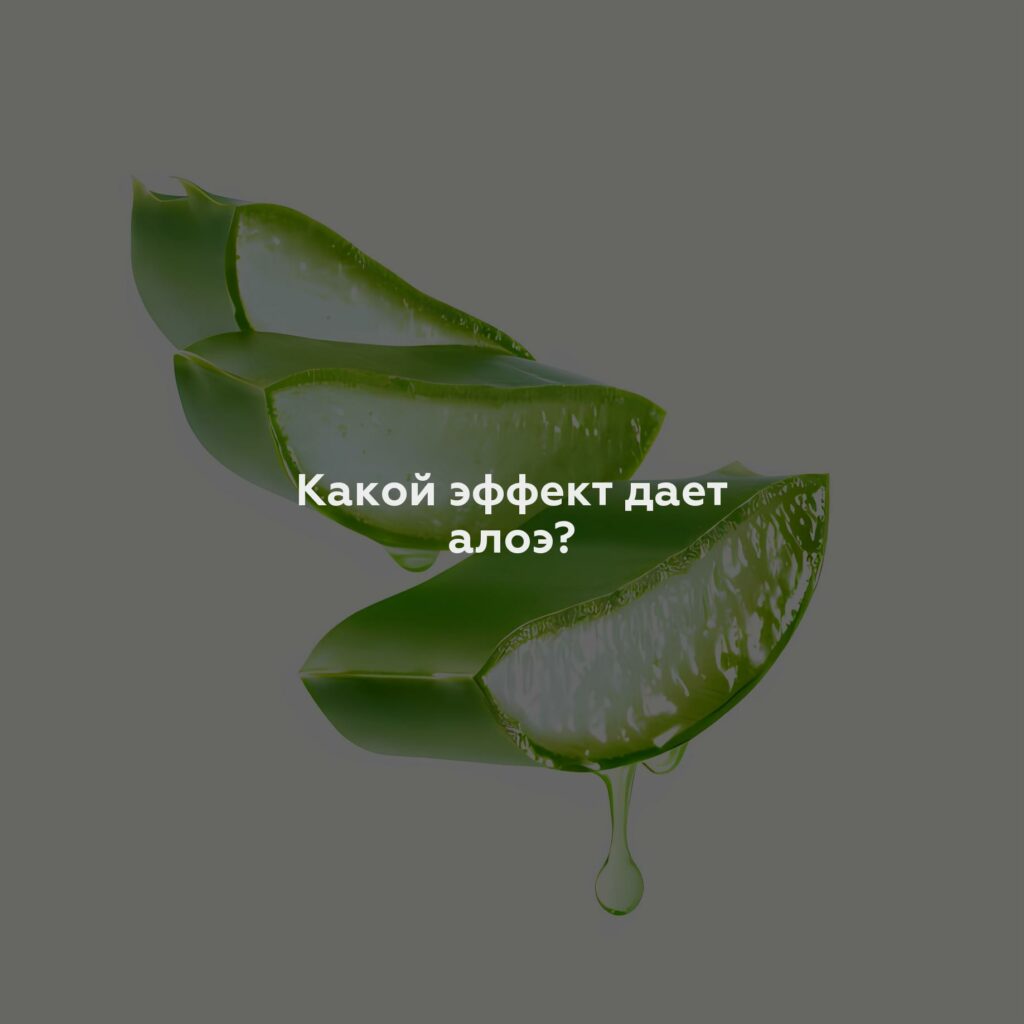 Какой эффект дает алоэ?