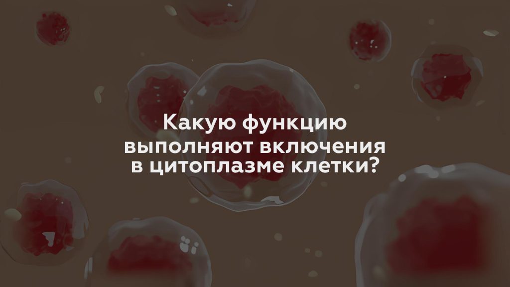 Какую функцию выполняют включения в цитоплазме клетки?