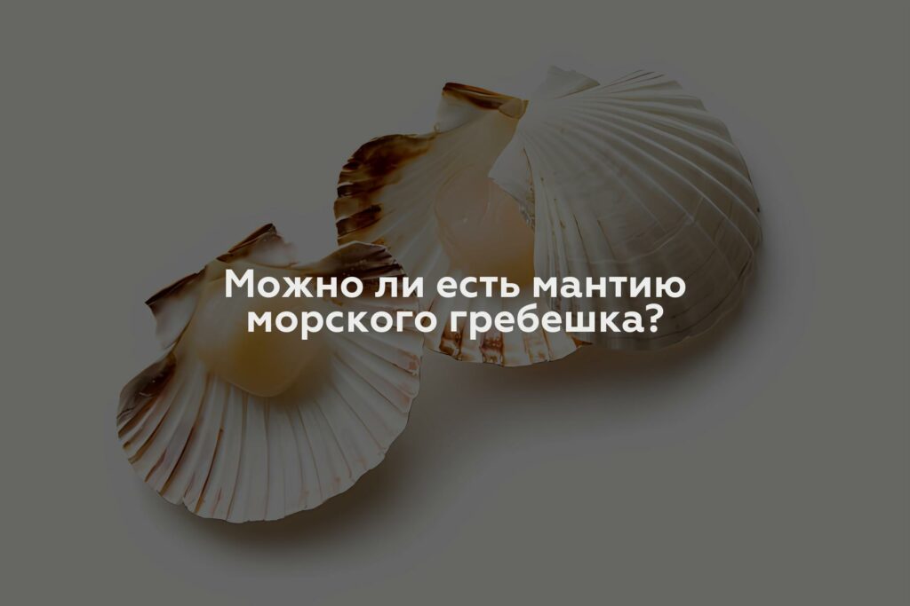 Можно ли есть мантию морского гребешка?