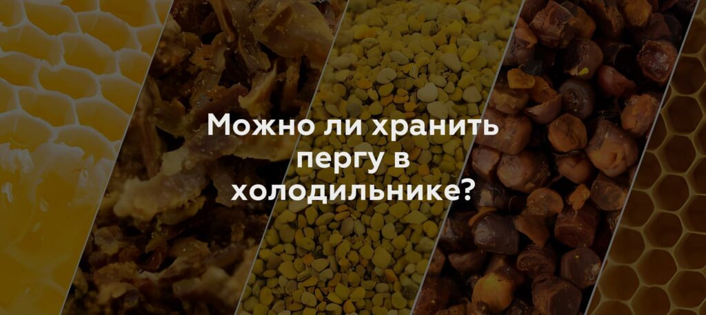 Можно ли хранить пергу в холодильнике?