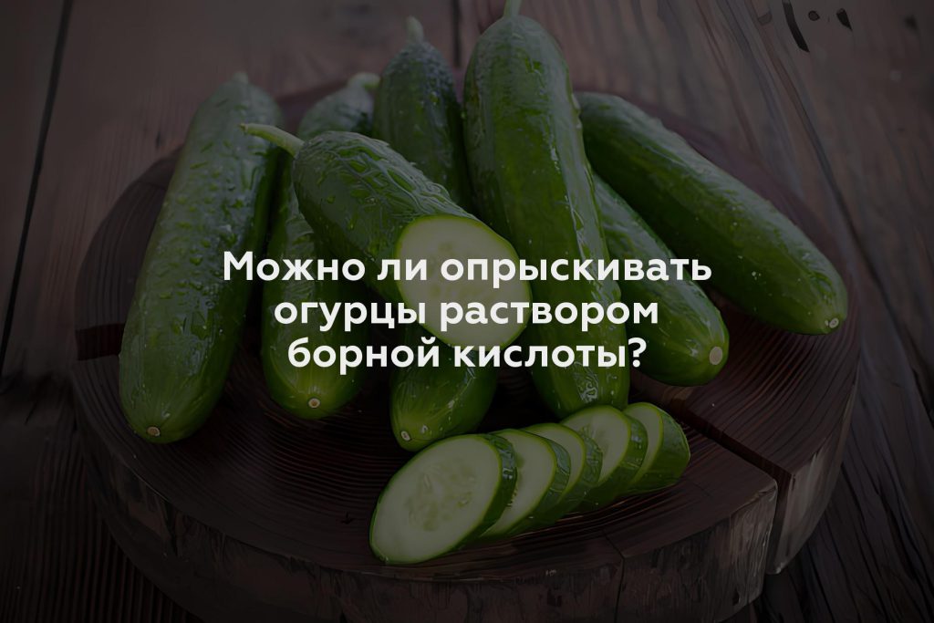 Можно ли опрыскивать огурцы раствором борной кислоты?