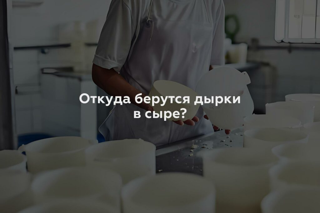 Откуда берутся дырки в сыре?