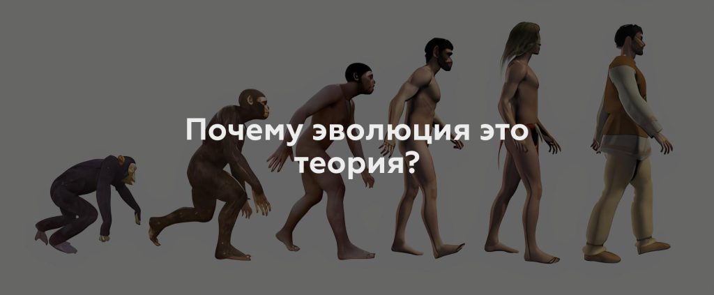 Почему эволюция это теория?