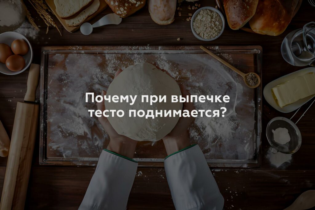 Почему при выпечке тесто поднимается?