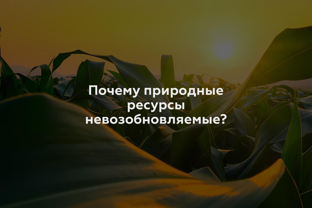 Почему природные ресурсы невозобновляемые?