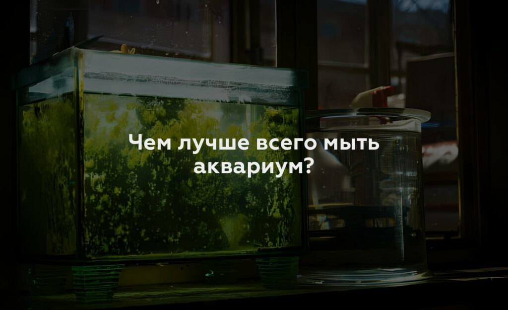 Чем лучше всего мыть аквариум?