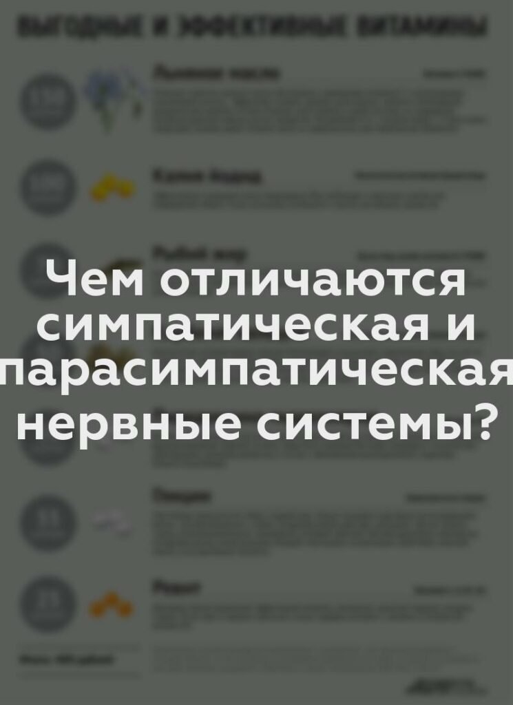 Чем отличаются симпатическая и парасимпатическая нервные системы?