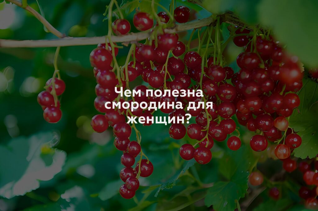 Чем полезна смородина для женщин?