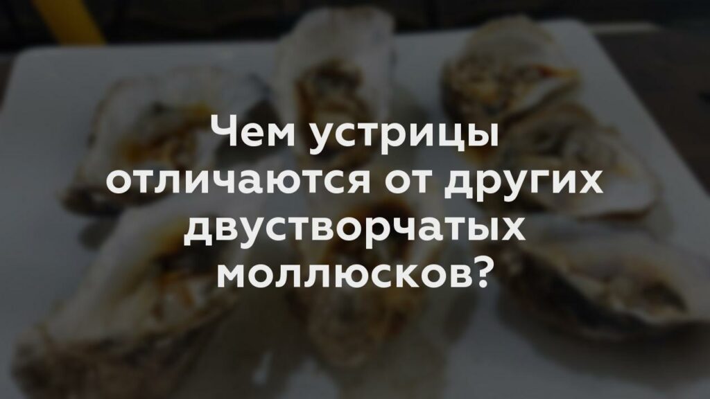 Чем устрицы отличаются от других двустворчатых моллюсков?