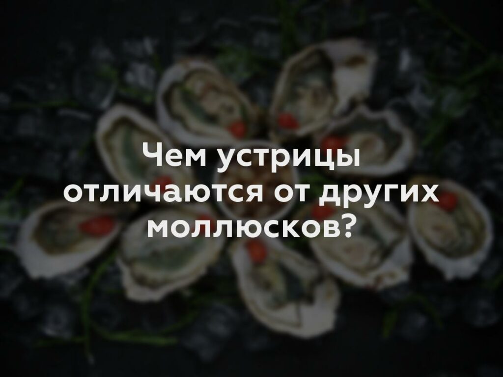 Чем устрицы отличаются от других моллюсков?