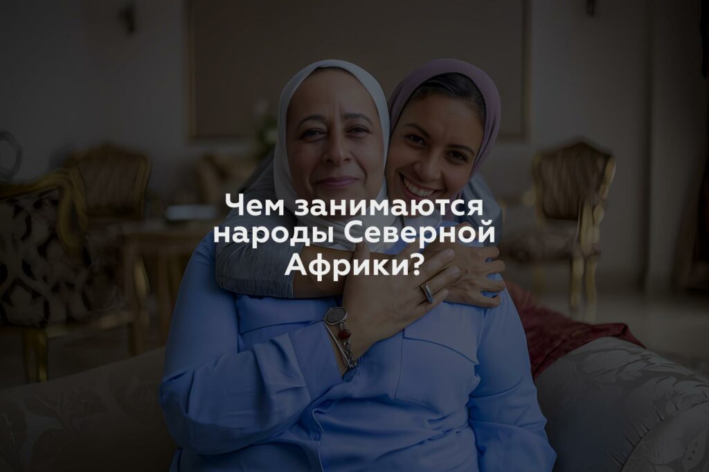 Чем занимаются народы Северной Африки?