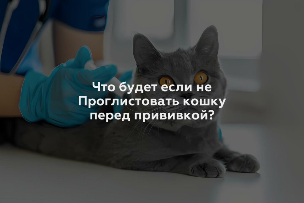 Что будет если не Проглистовать кошку перед прививкой?