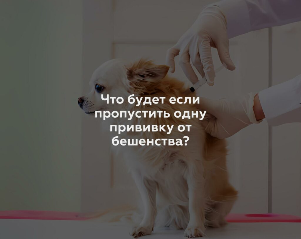 Что будет если пропустить одну прививку от бешенства?