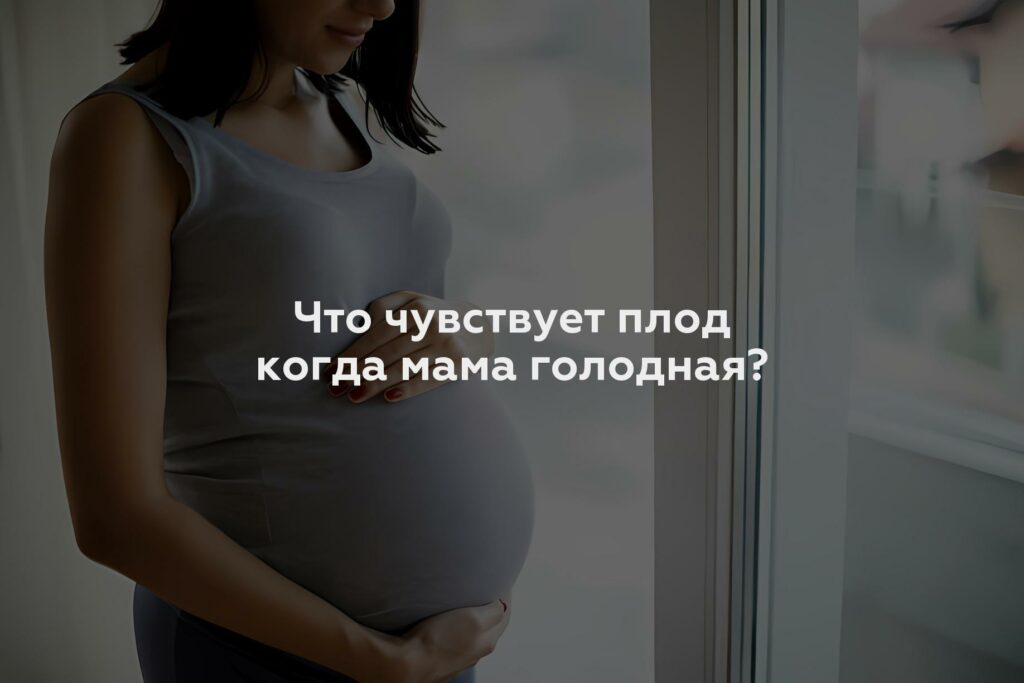 Что чувствует плод когда мама голодная?