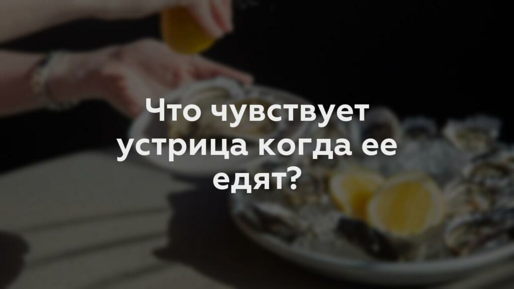 Что чувствует устрица когда ее едят?