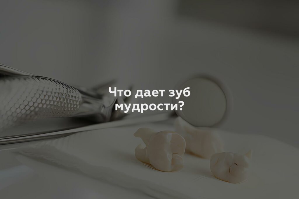 Что дает зуб мудрости?