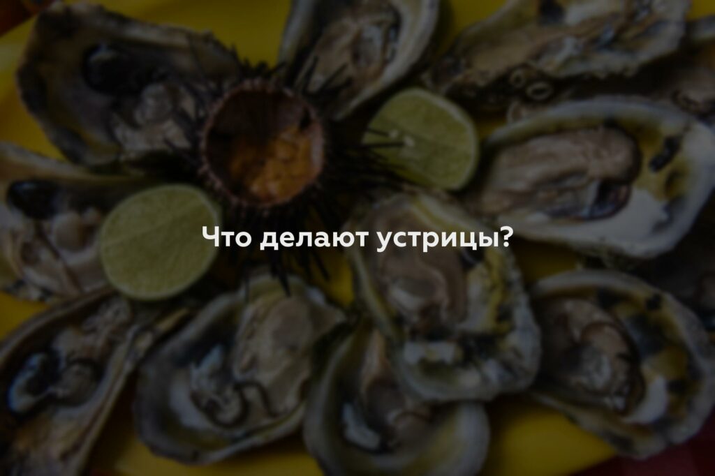 Что делают устрицы?