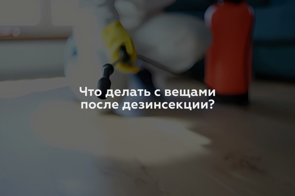 Что делать с вещами после дезинсекции?