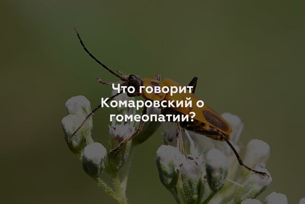 Что говорит Комаровский о гомеопатии?