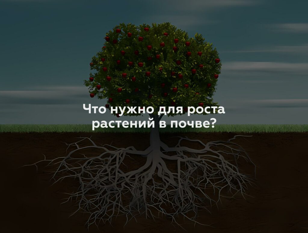 Что нужно для роста растений в почве?