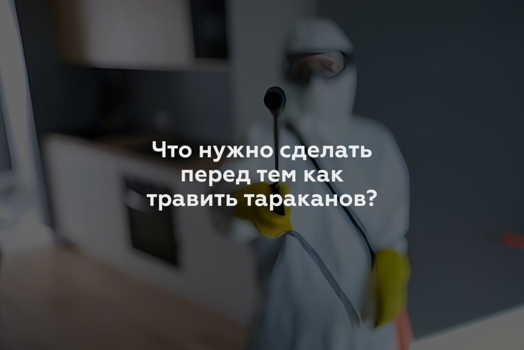 Что нужно сделать перед тем как травить тараканов?