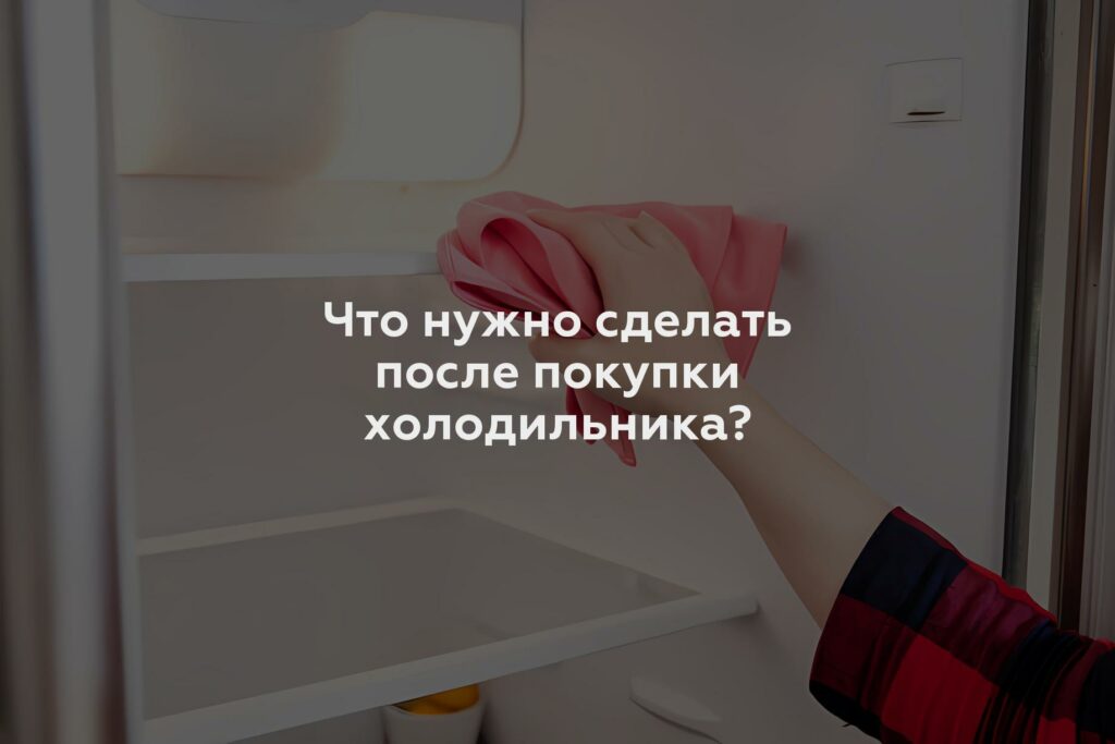 Что нужно сделать после покупки холодильника?