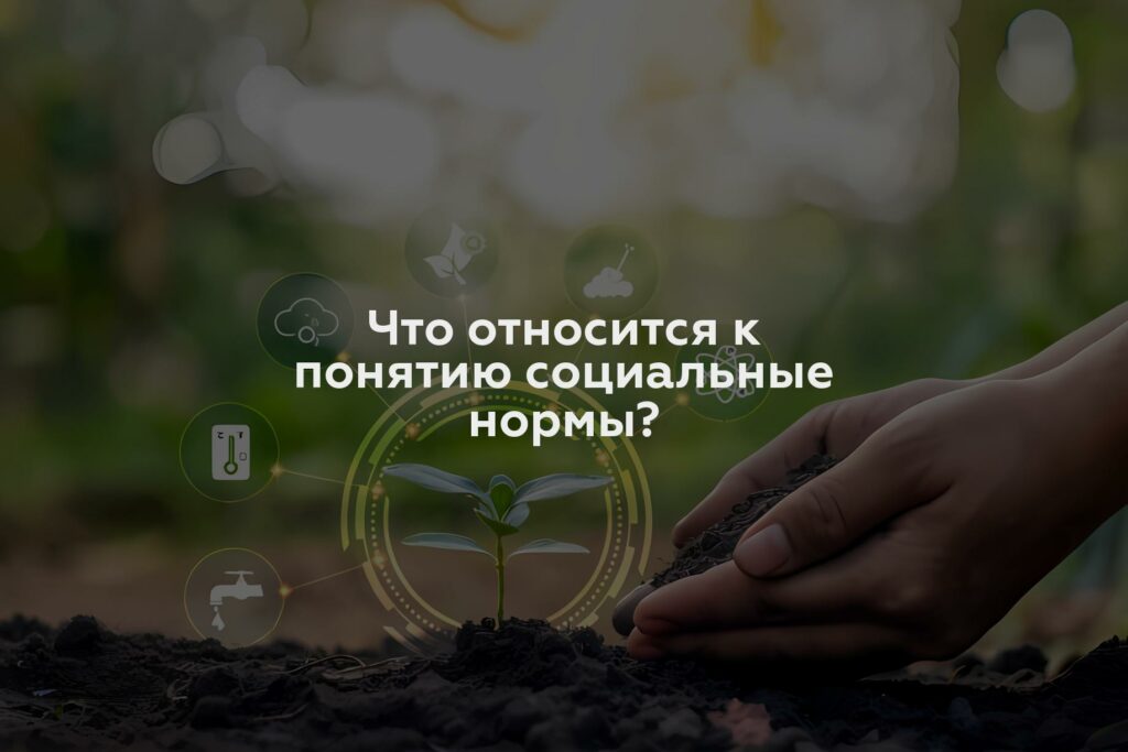 Что относится к понятию социальные нормы?