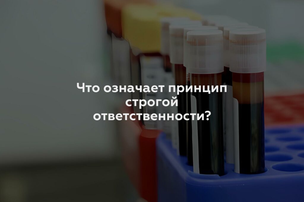 Что означает принцип строгой ответственности?