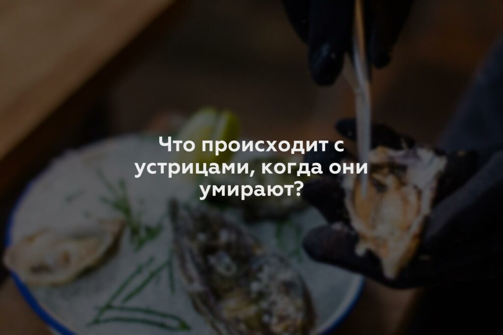 Что происходит с устрицами, когда они умирают?