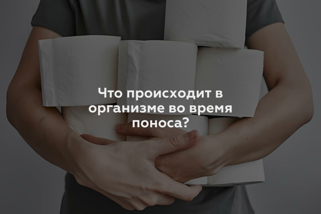 Что происходит в организме во время поноса?