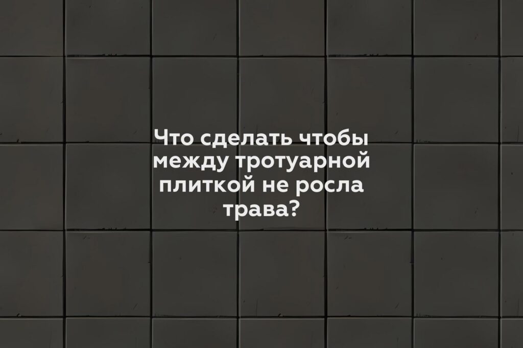 Что сделать чтобы между тротуарной плиткой не росла трава?