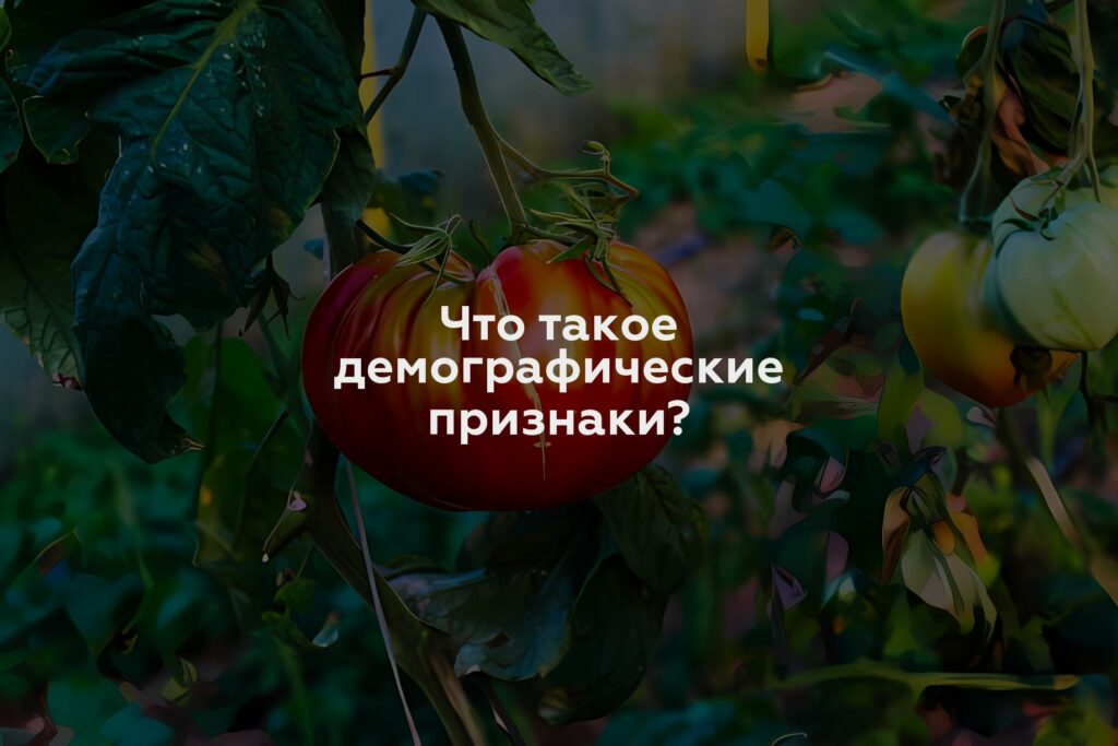 Что такое демографические признаки?