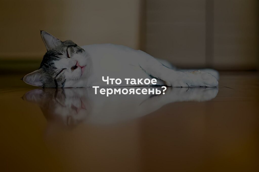 Что такое Термоясень?