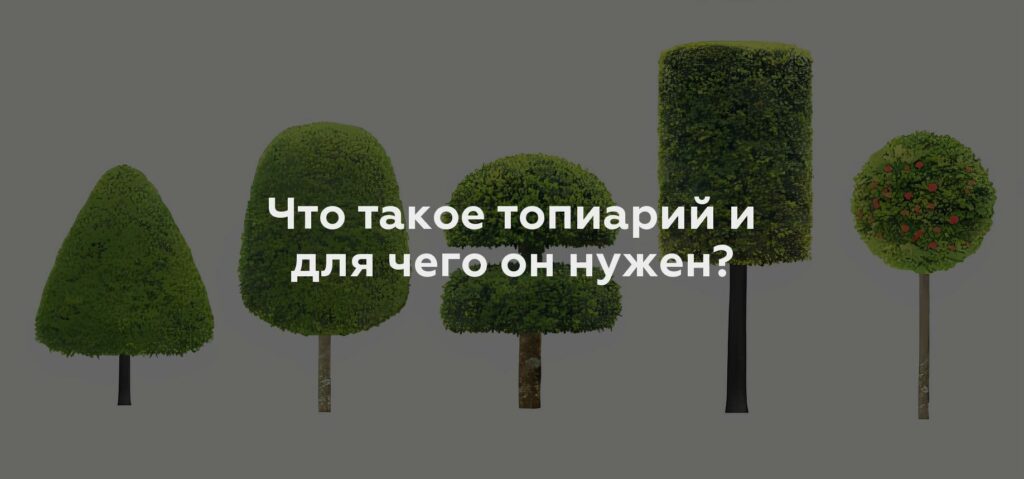 Что такое топиарий и для чего он нужен?