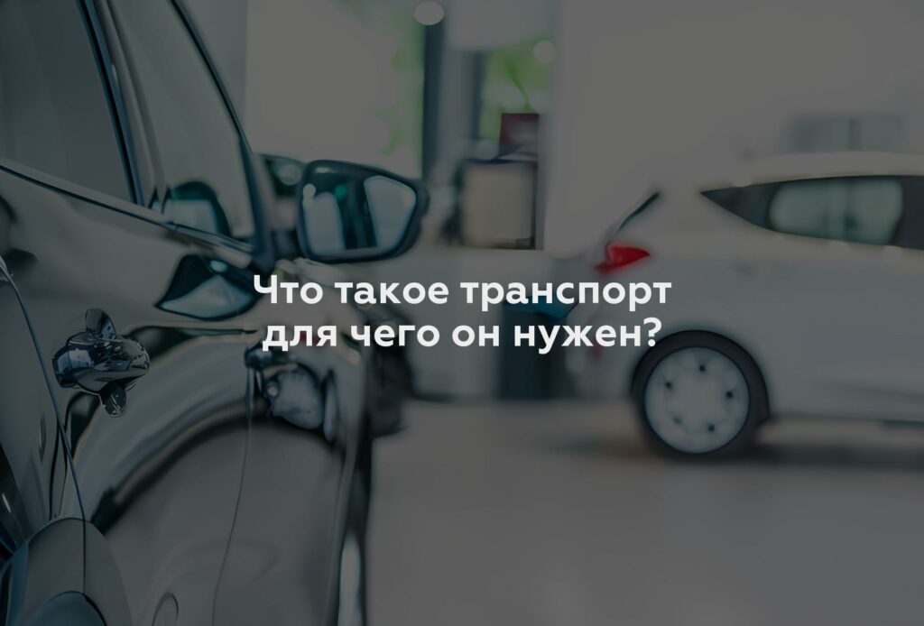 Что такое транспорт для чего он нужен?