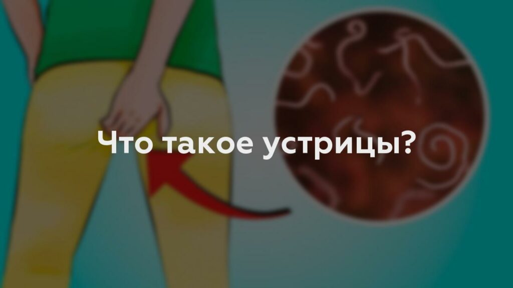 Что такое устрицы?