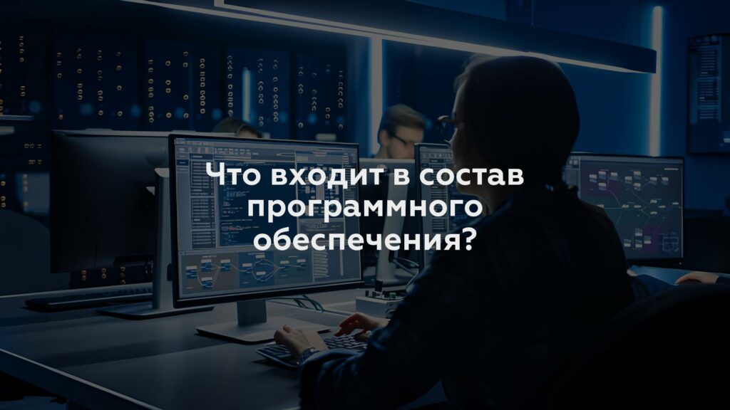 Что входит в состав программного обеспечения?