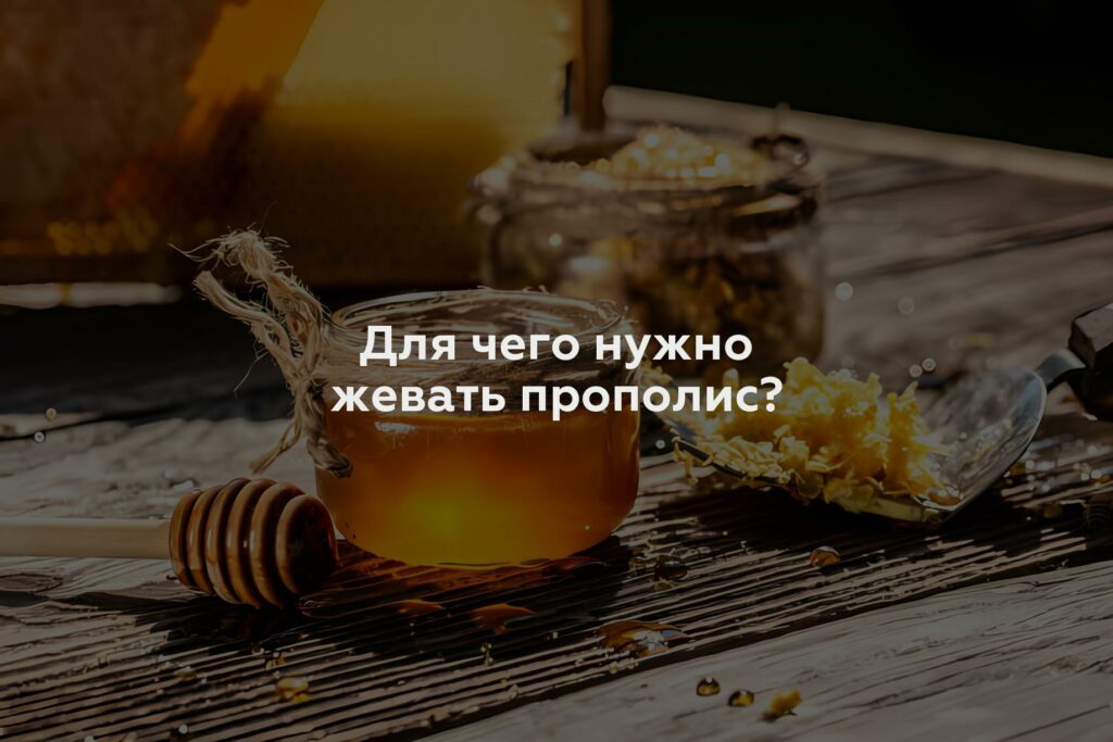 Для чего нужно жевать прополис?