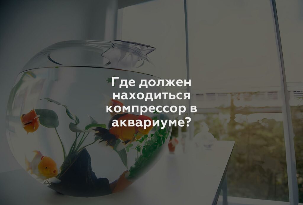 Где должен находиться компрессор в аквариуме?