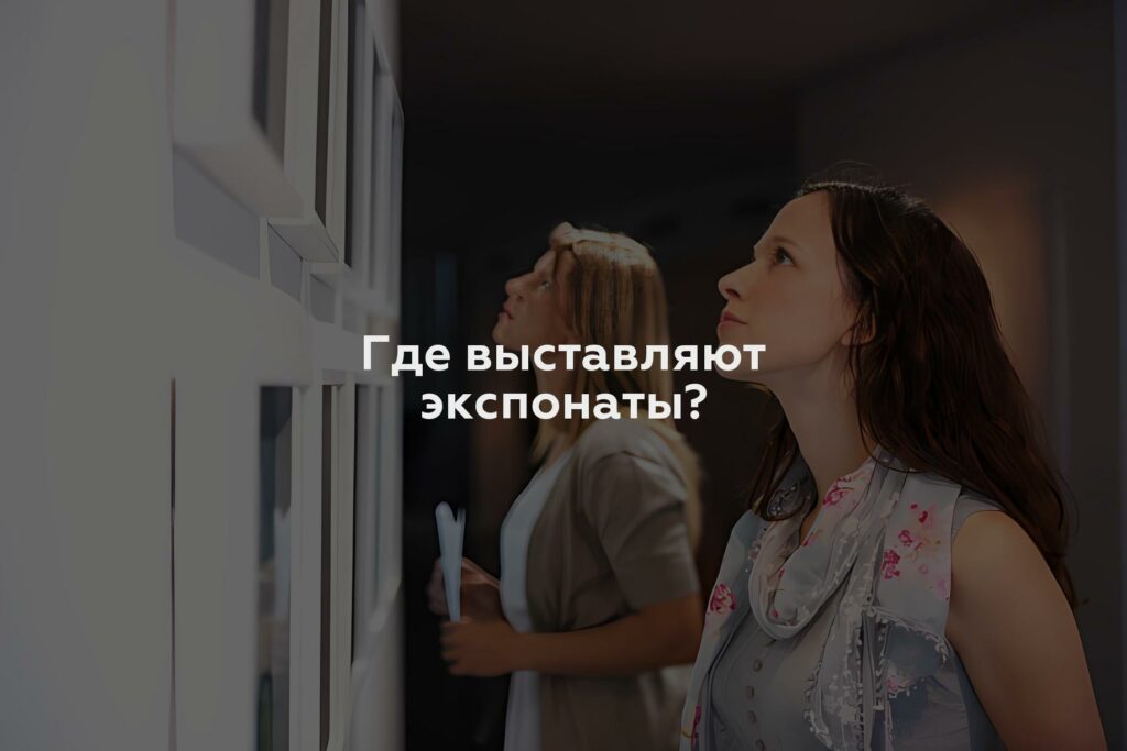 Где выставляют экспонаты?