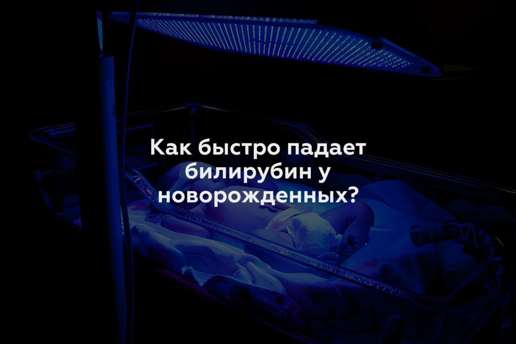 Как быстро падает билирубин у новорожденных?